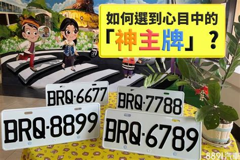 屬狗車牌|屬狗的車牌號碼吉祥數字，取」汪「諧音